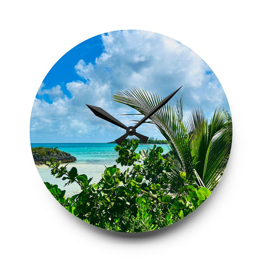 Acrylic Wall Clock - “Sea Turtle Cove”