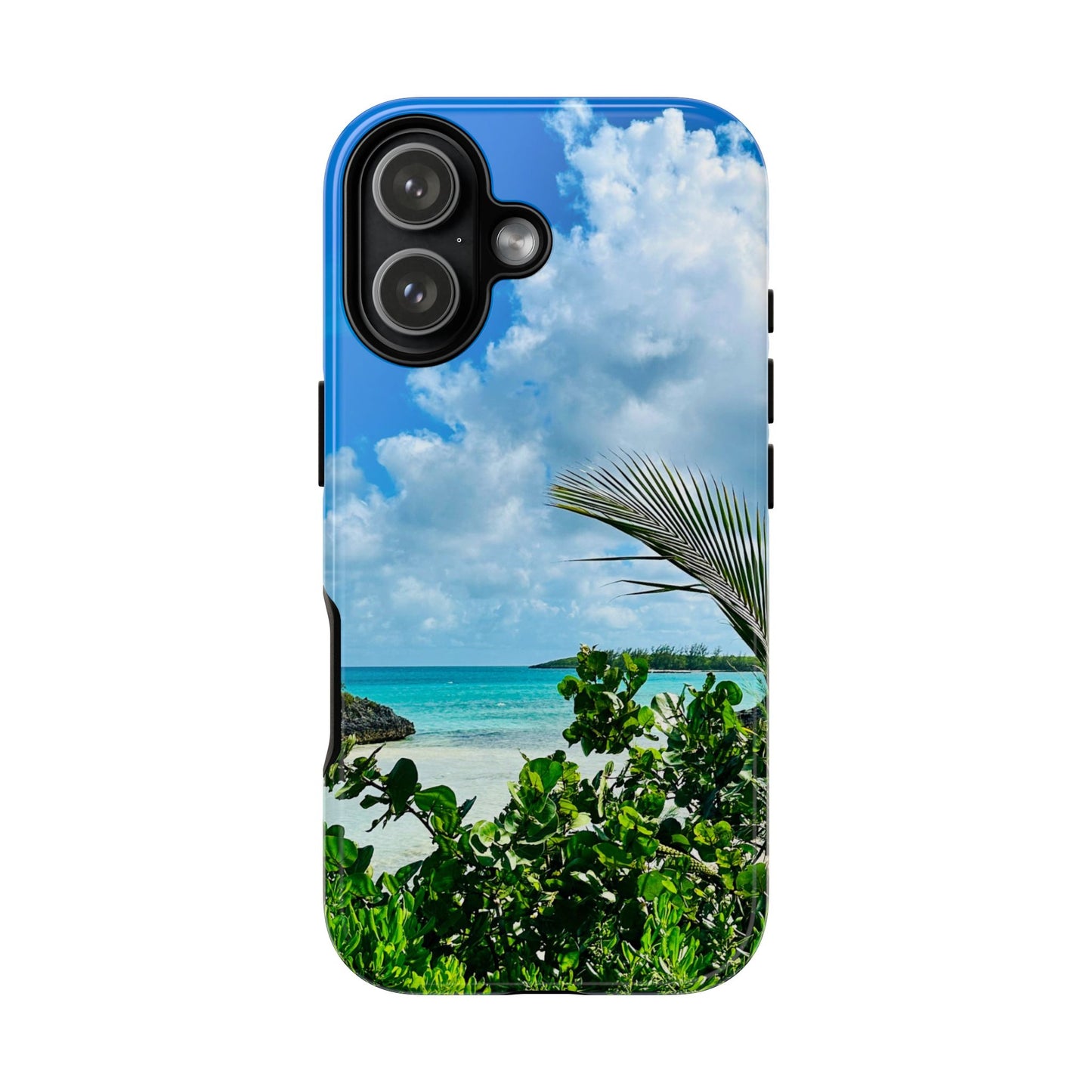 Tough Cases - "Sea Turtle Cove"