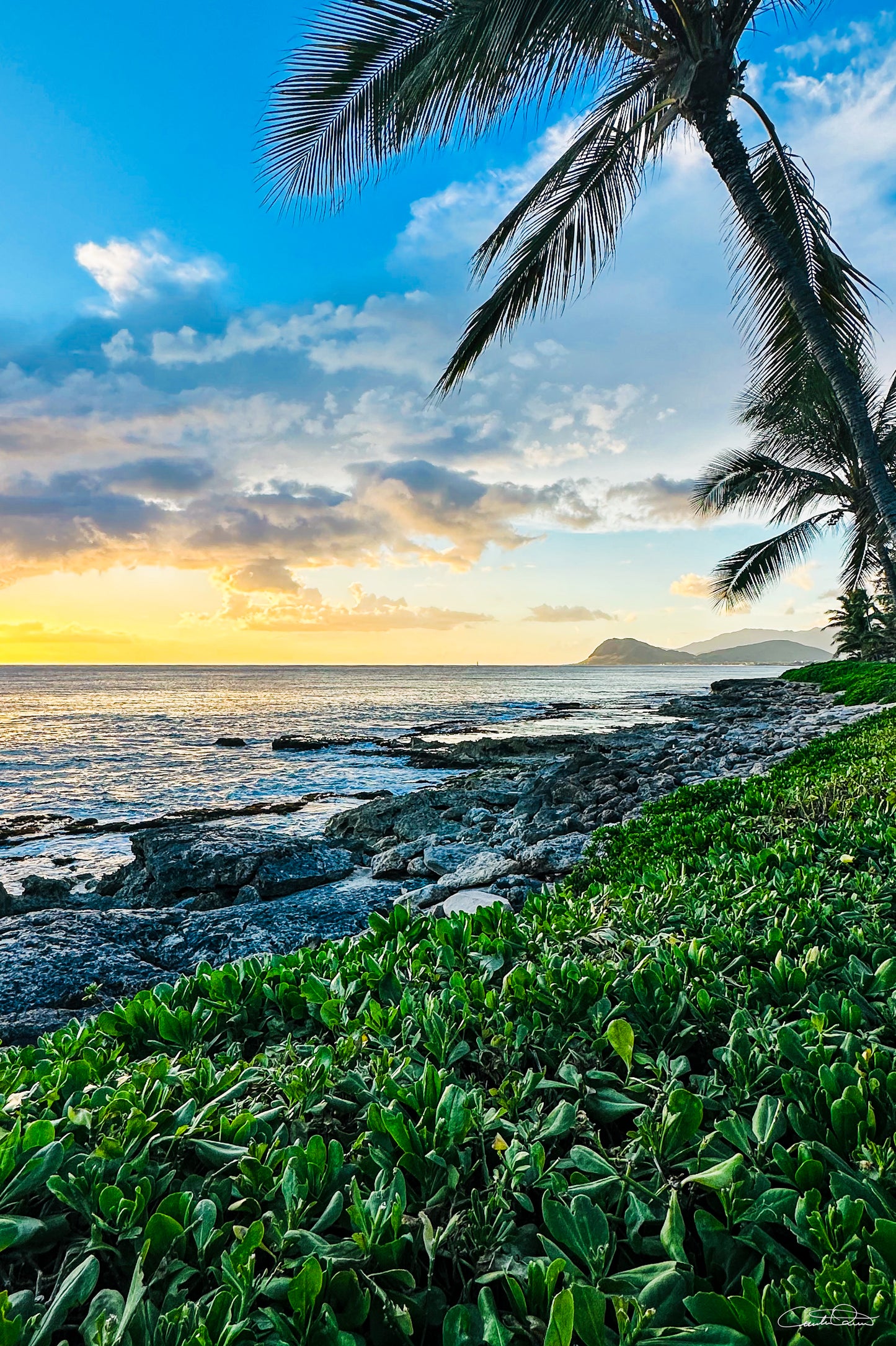 Oahu Glow